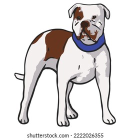Cool Dog Pet Colored Drawing