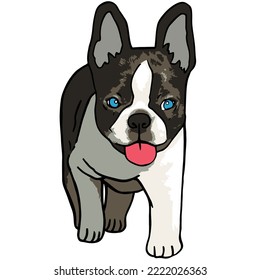 Cool Dog Pet Colored Drawing