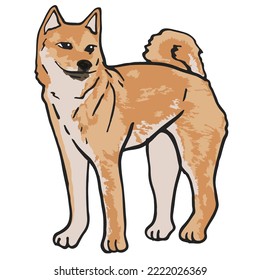 Cool Dog Pet Colored Drawing