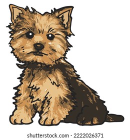 Cool Dog Pet Colored Drawing