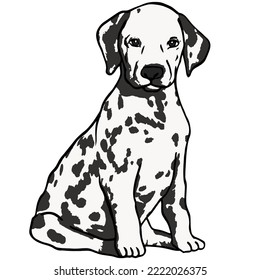 Cool Dog Pet Colored Drawing