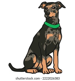 Cool Dog Pet Colored Drawing