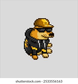 Cool dog, pixel art meme