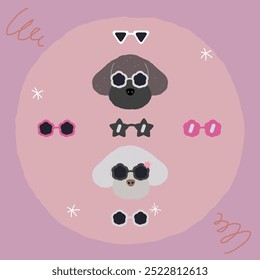 Cool dog poodle in sunglasses