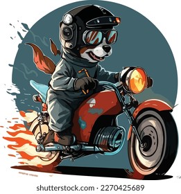 cool dog riding a bike