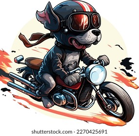 cool dog riding a bike