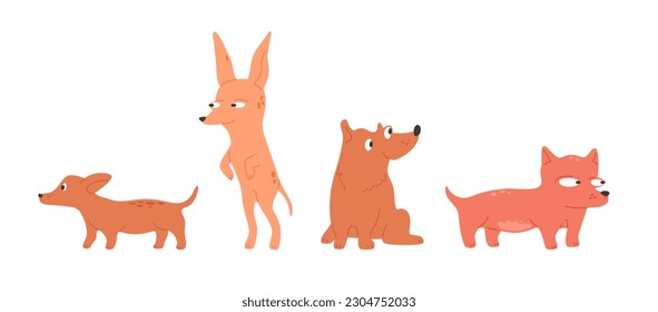 Cool dogs set. Cute puppy looks suspiciously or with curious. Simple domestic animal, abstract comic pet. Vector illustration with corgi, friendly dachshund, playful chihuahua.