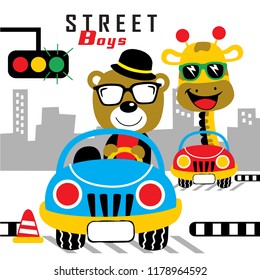 cool driver funny animal cartoon,vector illustration