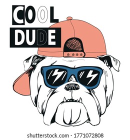 cool dude dog vector animal illustration