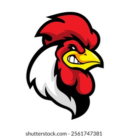 cool face of angry rooster isolated work in white background