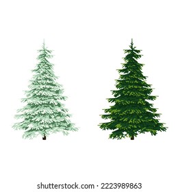 cool fir trees vector design for christmas tree