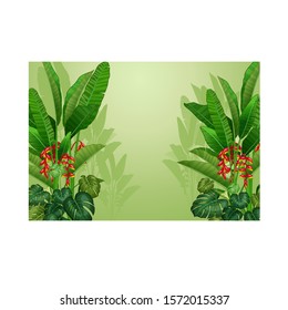 Cool Forest Tropical Plants With Red Flower, Anthurium, And Green Ivy Plant Cartoon Set for your design