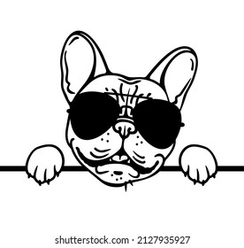 Cool Französischer Bulldog mit Sonnenbrille, französisches Portrait, Peking-Hund