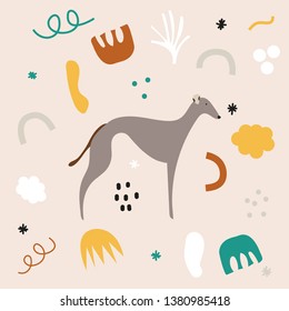 Cool Galgo Shapes Abstract Color