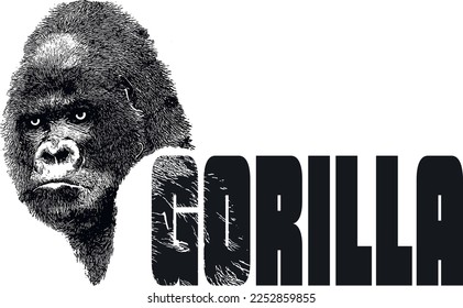 Cool gorilla. Engraved style. Symbol for t-shirt print or tattoo.