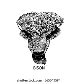 Cool graphic black and white vector head American bison, drawn by hand, isolated on white background. Suitable for a logo, symbol, tattoo.