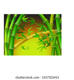 Cool Green Bamboo Tree Forest Cartoon for your design