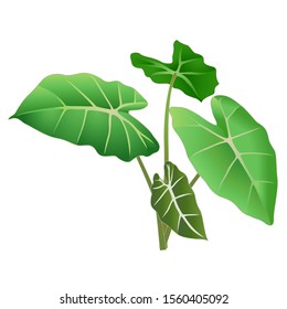 Cool Green Leaves Cartoon for your design