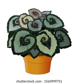 Cool Green Leaves Plant In Brown Pot Cartoon for your design