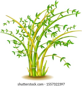 Cool Green Yellow Bamboo Tree cartoon for your design
