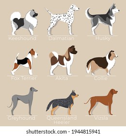 Cool hand drawn dog collection illustration. Poster for kids with fluffy dogs. Cute printable set with friendly dogs. Creative design for dog lovers.