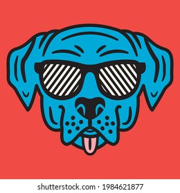 cooler glücklicher Hund, Lächeln und lustiges Gesicht