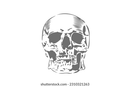 cool human skull head drawn silhouette and colored illustration in vector eps format, suitable for retro vintage style design and t-shirt design