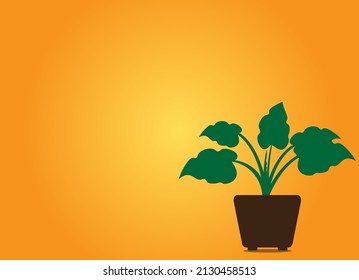 Cool indoor decorative caladium background image which is suitable for writing or presentation background

