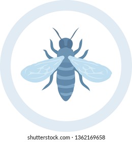 Cool insect bee icon in a circle for sanitation sites