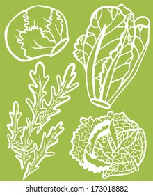 Cool Lettuce Selection Set: Rocket, Savoy Cabbage, Romaine and Iceberg - White Outline on Green Background