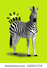 Cool like a zebra. Motivational vector illustration