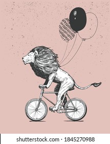 Cool Lion Rides Bicycle with Balloons Vector Illustration. Vintage Mascot Cute Lion Cycle Bike Isolated on White. Happy Birthday Animal Character Black and White Sketch.