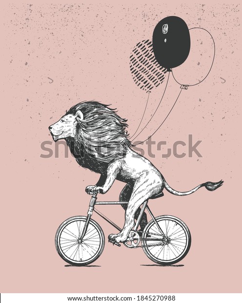 Cool Lion Rides\
Bicycle with Balloons Vector Illustration. Vintage Mascot Cute Lion\
Cycle Bike Isolated on White. Happy Birthday Animal Character Black\
and White Sketch.
