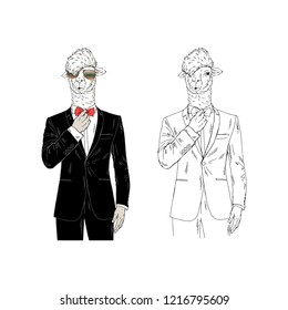 Cool Llama man dressed up in tuxedo adjust bow-tie. Anthropomorphic animal illustration. Hand drawn vector graphic.