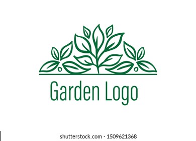 cool, luxury and simple garden with smart touch