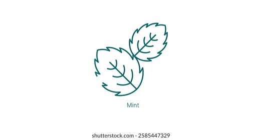 Cool Mint Refreshing Aromatic Tones Vector Icon