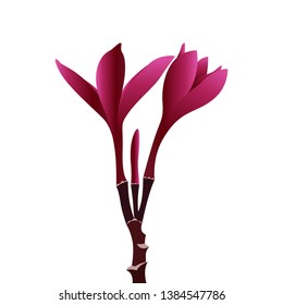 Cool and Modern Vector Flower Art