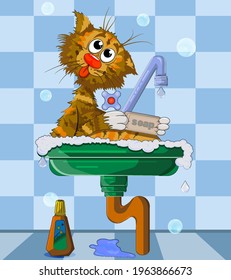 Cool multicolored cat who washes in a bright bathroom in a green sink in foam and holds white soap