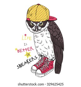 cool owl dressed up in sneakers and cap, hand drawn graphic, animal illustration, t-shirt graphic, artwork