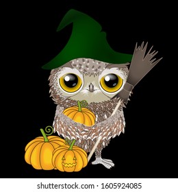 Cool owl in a green witch hat stands and holds a pumpkin and a broom on a black isolated background, Halloween detailed illustration