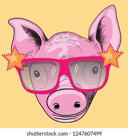Cool pig with sunglasses. Vector illustration on yellow background