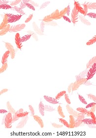 Cool pink flamingo feathers vector background. Decoration confetti of carnival plumelet. Fluffy twirled feathers on white design. Plumage trendy fashion shower decor.