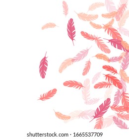 Fantasas flamingo rosadas frescas de fondo vectorial. Decoración bohemia de plumas en la ducha. El adorno indígena nativo del plumelet suave. Flagrantes plumas torcidas sobre el diseño blanco.