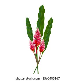 Cool Pink Flower Cartoon for your design