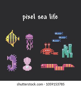 cool pixel sea life