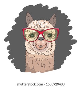 Cool poster. Portrait of a cheerful llama in sunglasses. Greeting card, t-shirt composition, hand-drawn print style. Vector illustration