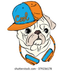 Cool Pug with a cap and headphones. Dog vector. Print on clothes or a postcard. Hipster.