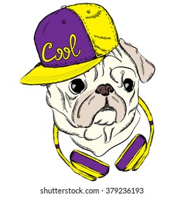 Cool Pug with a cap and headphones. Dog vector. Print on clothes or a postcard. Hipster.