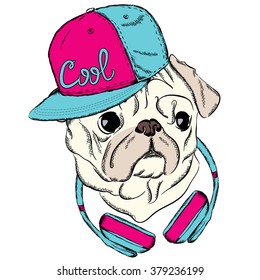 Cool Pug with a cap and headphones. Dog vector. Print on clothes or a postcard. Hipster.
