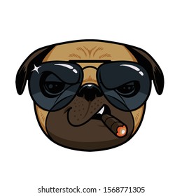 Cool Pug with cigar wearing sunglass